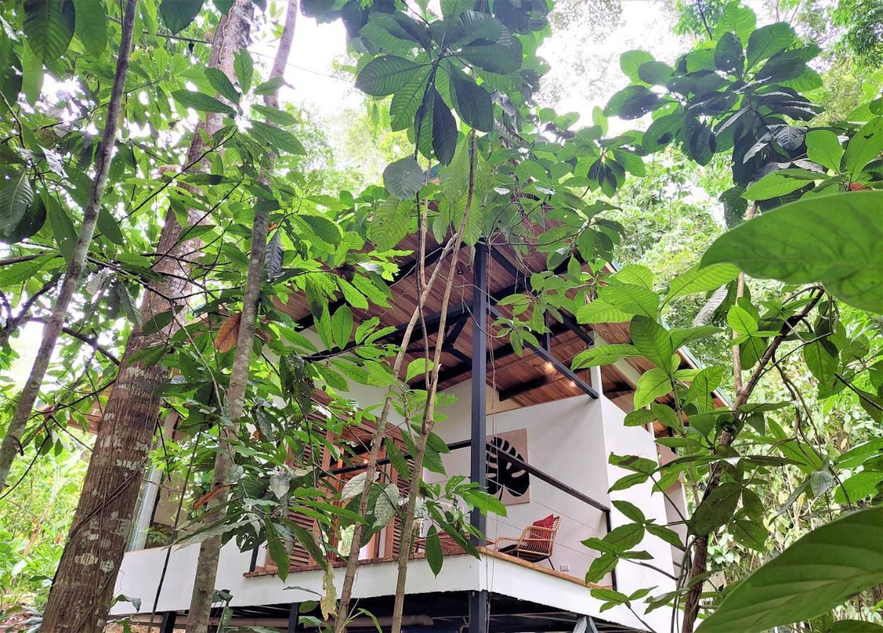 Satta Lodge (Adults Only) Puerto Viejo de Talamanca Exterior photo