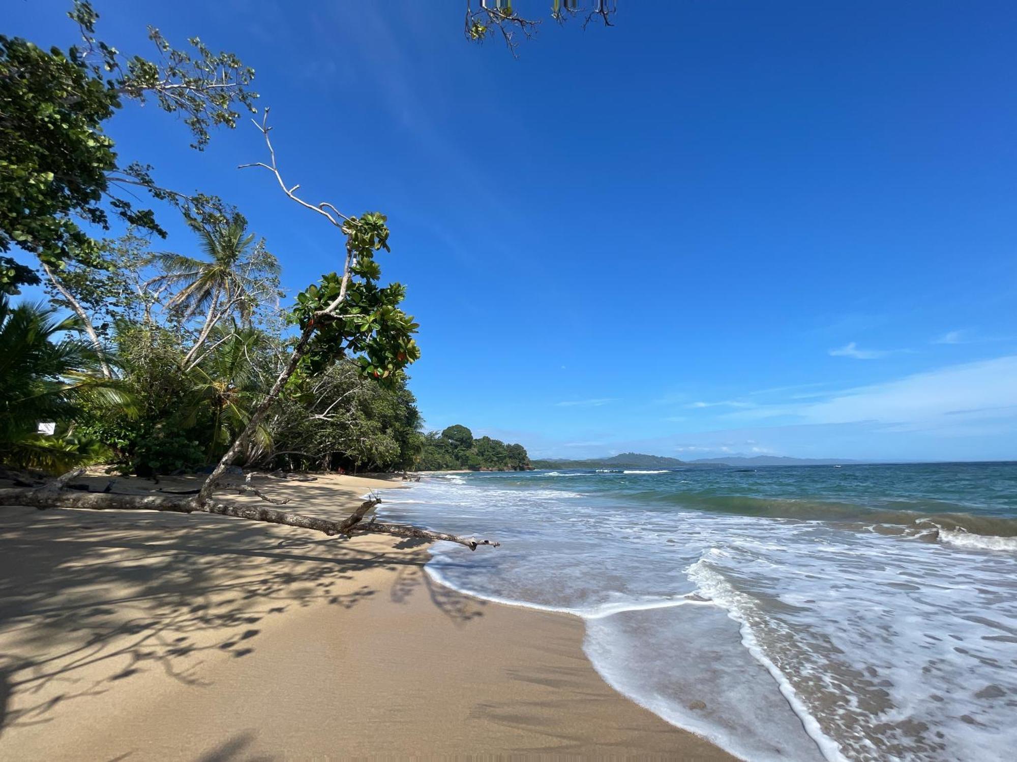 Satta Lodge (Adults Only) Puerto Viejo de Talamanca Exterior photo