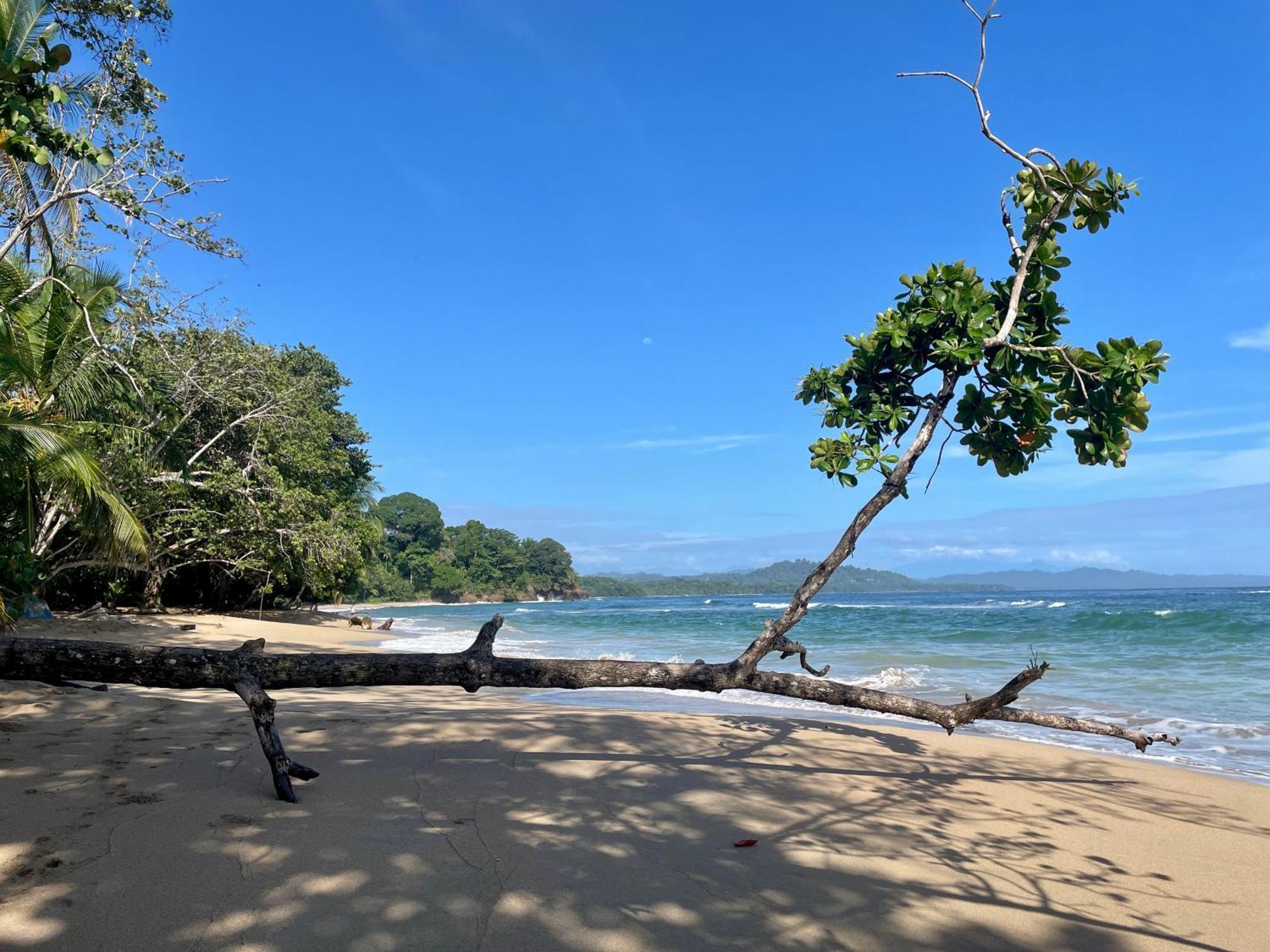 Satta Lodge (Adults Only) Puerto Viejo de Talamanca Exterior photo