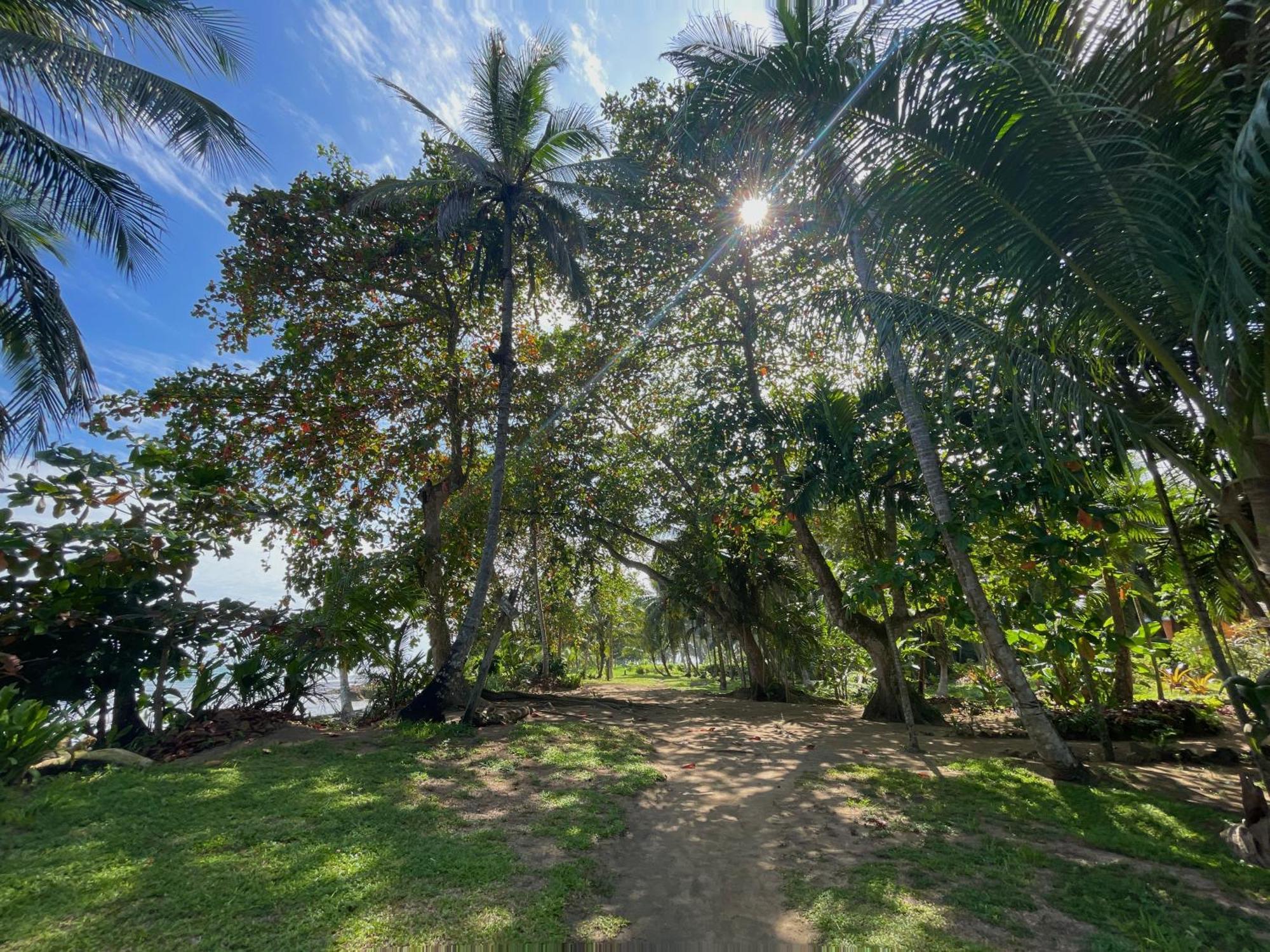 Satta Lodge (Adults Only) Puerto Viejo de Talamanca Exterior photo