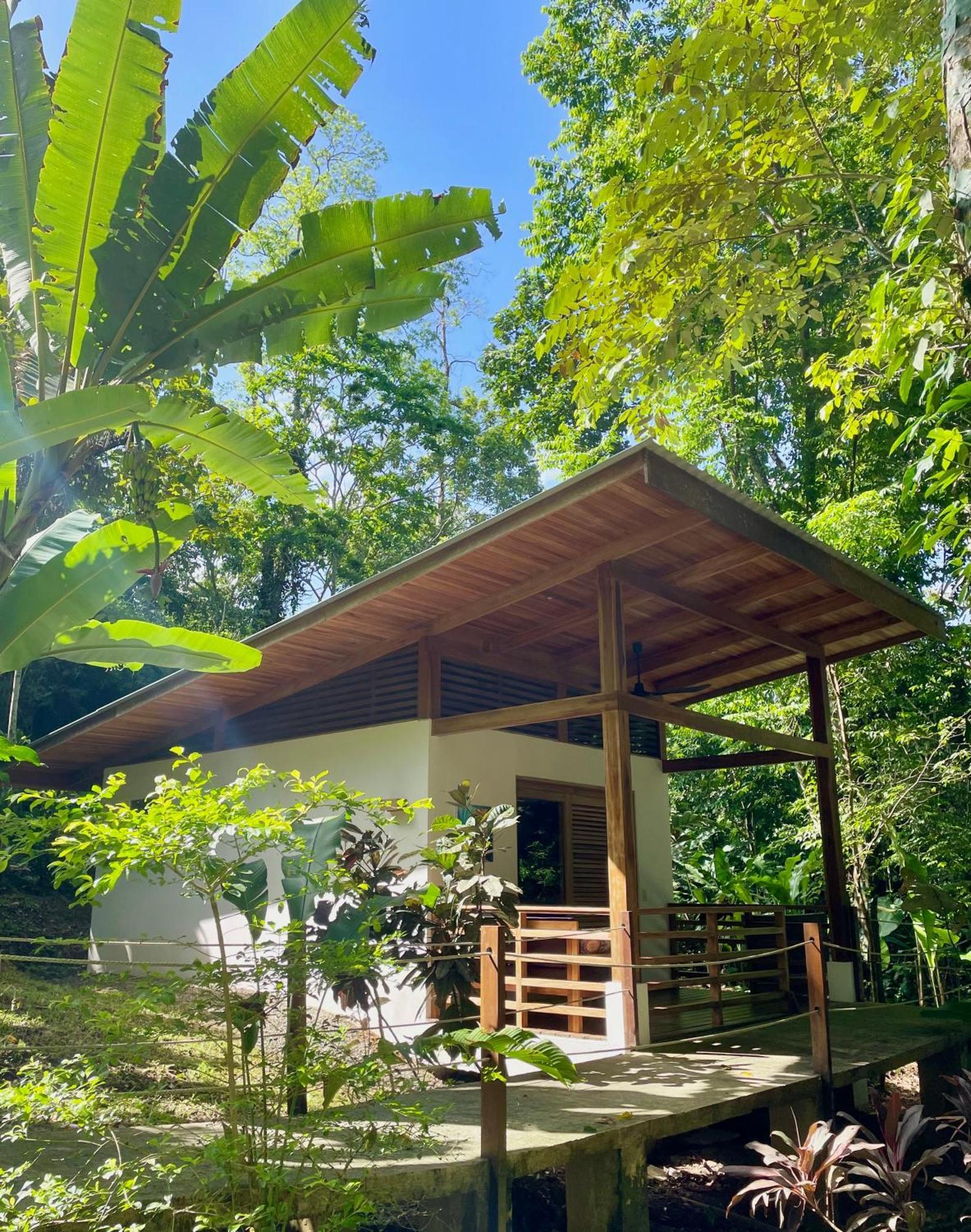 Satta Lodge (Adults Only) Puerto Viejo de Talamanca Exterior photo
