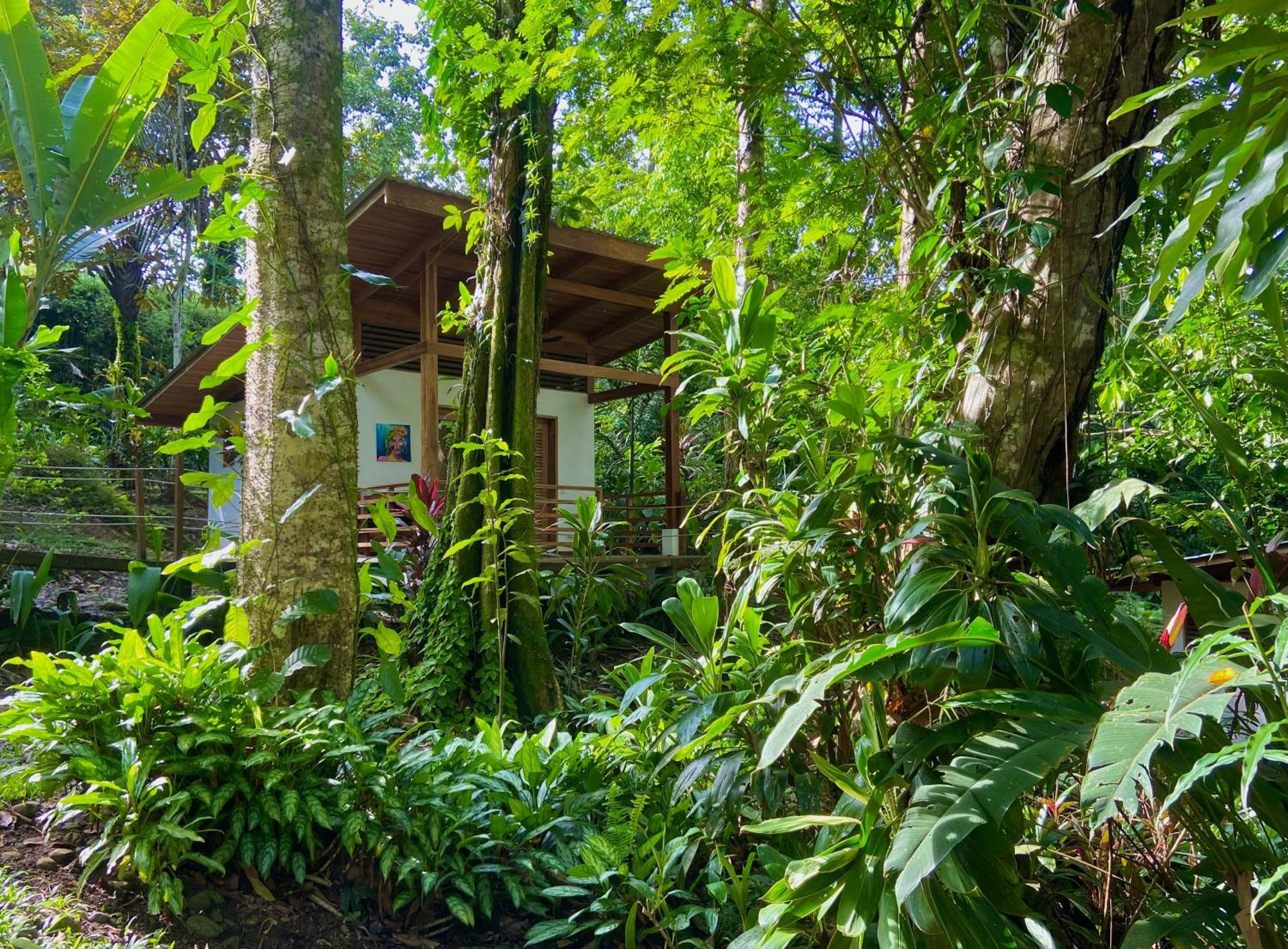 Satta Lodge (Adults Only) Puerto Viejo de Talamanca Exterior photo