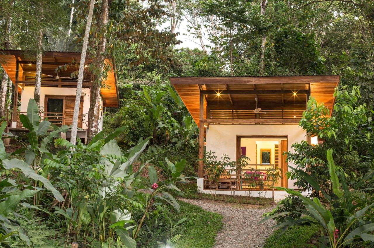 Satta Lodge (Adults Only) Puerto Viejo de Talamanca Exterior photo